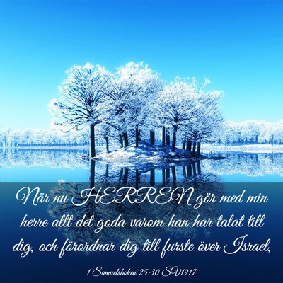 Picture 03 - 1 Samuelsboken 25:30 SV1917 - När nu HERREN gör med min herre allt det goda - Bible Verse Picture