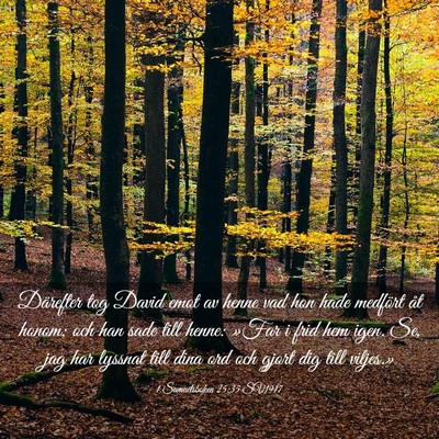 Picture 03 - 1 Samuelsboken 25:35 SV1917 - Därefter tog David emot av henne vad hon hade - Bible Verse Picture