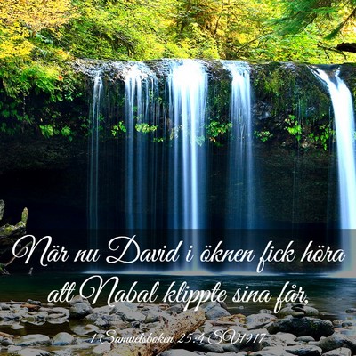 Picture 03 - 1 Samuelsboken 25:4 SV1917 - När nu David i öknen fick höra att Nabal - Bible Verse Picture