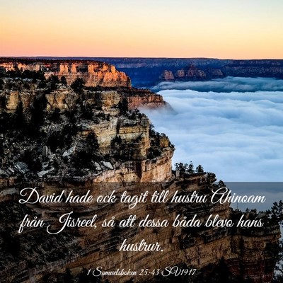 Picture 03 - 1 Samuelsboken 25:43 SV1917 - David hade ock tagit till hustru Ahinoam från - Bible Verse Picture