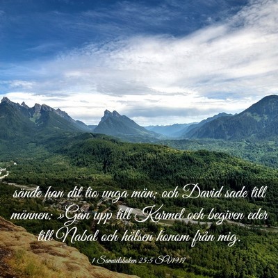 Picture 03 - 1 Samuelsboken 25:5 SV1917 - sände han dit tio unga män; och David sade till - Bible Verse Picture