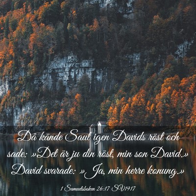 Picture 03 - 1 Samuelsboken 26:17 SV1917 - Då kände Saul igen Davids röst och sade: »Det - Bible Verse Picture