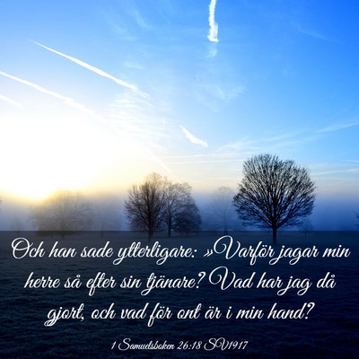 Picture 03 - 1 Samuelsboken 26:18 SV1917 - Och han sade ytterligare: »Varför jagar min - Bible Verse Picture
