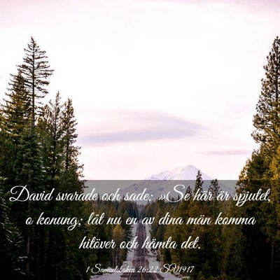 Picture 03 - 1 Samuelsboken 26:22 SV1917 - David svarade och sade: »Se här är spjutet, o - Bible Verse Picture