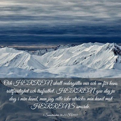 Picture 03 - 1 Samuelsboken 26:23 SV1917 - Och HERREN skall vedergälla var och en för hans - Bible Verse Picture