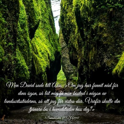 Picture 03 - 1 Samuelsboken 27:5 SV1917 - Men David sade till Akis: »Om jag har funnit - Bible Verse Picture