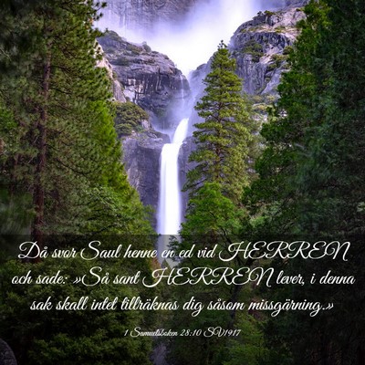 Picture 03 - 1 Samuelsboken 28:10 SV1917 - Då svor Saul henne en ed vid HERREN och sade: - Bible Verse Picture