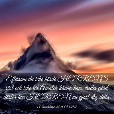Picture 03 - 1 Samuelsboken 28:18 SV1917 - Eftersom du icke hörde HERRENS röst och icke - Bible Verse Picture