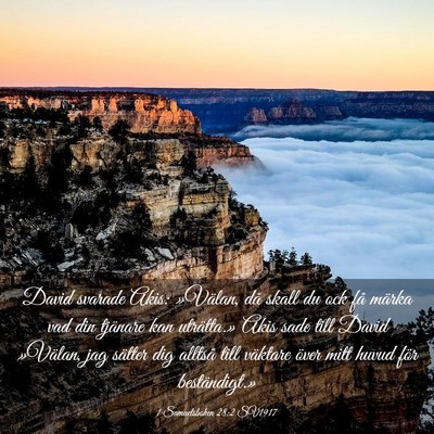 Picture 03 - 1 Samuelsboken 28:2 SV1917 - David svarade Akis: »Välan, då skall du ock - Bible Verse Picture