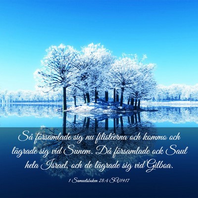 Picture 03 - 1 Samuelsboken 28:4 SV1917 - Så församlade sig nu filistéerna och kommo och - Bible Verse Picture