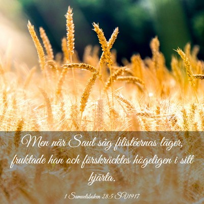 Picture 03 - 1 Samuelsboken 28:5 SV1917 - Men när Saul såg filistéernas läger, fruktade - Bible Verse Picture