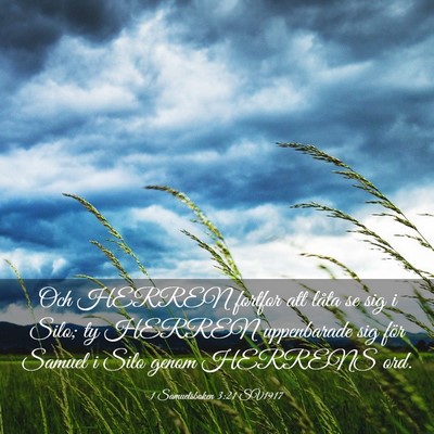 Picture 03 - 1 Samuelsboken 3:21 SV1917 - Och HERREN fortfor att låta se sig i Silo; ty - Bible Verse Picture
