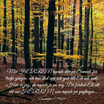 Picture 03 - 1 Samuelsboken 3:8 SV1917 - Men HERREN ropade åter på Samuel, för tredje - Bible Verse Picture