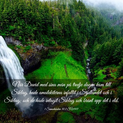 Picture 03 - 1 Samuelsboken 30:1 SV1917 - När David med sina män på tredje dagen kom - Bible Verse Picture