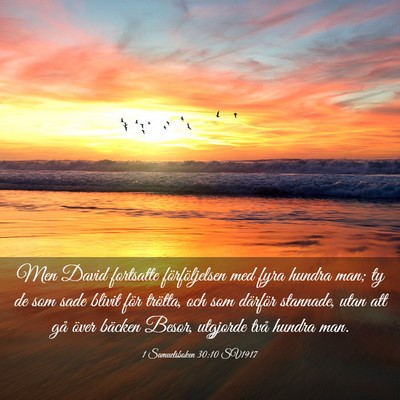 Picture 03 - 1 Samuelsboken 30:10 SV1917 - Men David fortsatte förföljelsen med fyra - Bible Verse Picture
