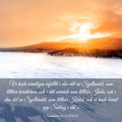 Picture 03 - 1 Samuelsboken 30:14 SV1917 - Vi hade nämligen infallit i den del av - Bible Verse Picture