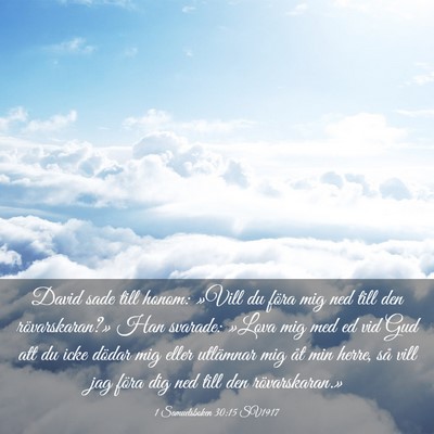 Picture 03 - 1 Samuelsboken 30:15 SV1917 - David sade till honom: »Vill du föra mig ned - Bible Verse Picture