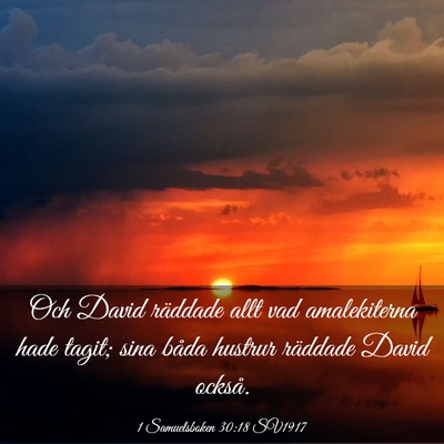 Picture 03 - 1 Samuelsboken 30:18 SV1917 - Och David räddade allt vad amalekiterna hade - Bible Verse Picture