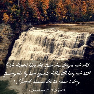 Picture 03 - 1 Samuelsboken 30:25 SV1917 - Och därvid blev det, från den dagen och allt - Bible Verse Picture