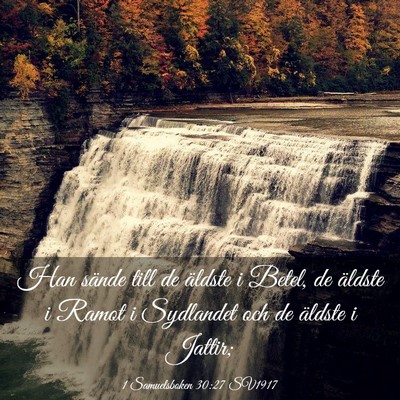Picture 03 - 1 Samuelsboken 30:27 SV1917 - Han sände till de äldste i Betel, de äldste i - Bible Verse Picture