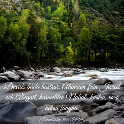 Picture 03 - 1 Samuelsboken 30:5 SV1917 - Davids båda hustrur, Ahinoam från Jisreel och - Bible Verse Picture