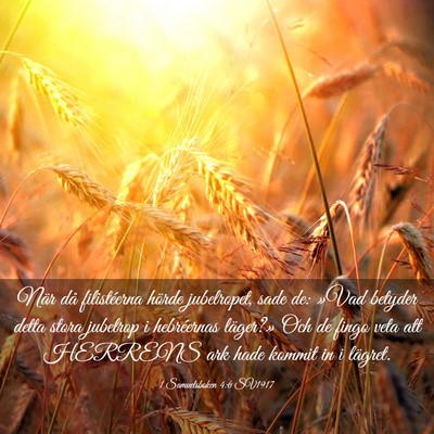 Picture 03 - 1 Samuelsboken 4:6 SV1917 - När då filistéerna hörde jubelropet, sade de: - Bible Verse Picture