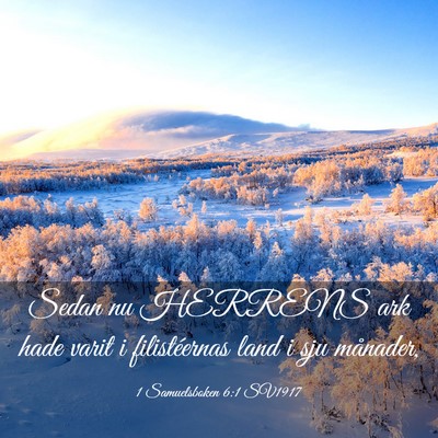 Picture 03 - 1 Samuelsboken 6:1 SV1917 - Sedan nu HERRENS ark hade varit i filistéernas - Bible Verse Picture