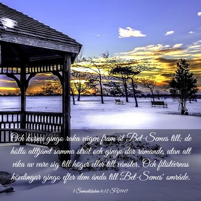 Picture 03 - 1 Samuelsboken 6:12 SV1917 - Och korna gingo raka vägen fram åt Bet-Semes - Bible Verse Picture