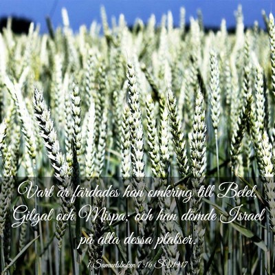 Picture 03 - 1 Samuelsboken 7:16 SV1917 - Vart år färdades han omkring till Betel, Gilgal - Bible Verse Picture
