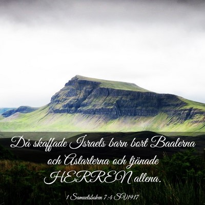 Picture 03 - 1 Samuelsboken 7:4 SV1917 - Då skaffade Israels barn bort Baalerna och - Bible Verse Picture