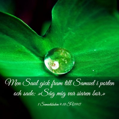 Picture 03 - 1 Samuelsboken 9:18 SV1917 - Men Saul gick fram till Samuel i porten och sade: - Bible Verse Picture