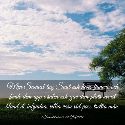 Picture 03 - 1 Samuelsboken 9:22 SV1917 - Men Samuel tog Saul och hans tjänare och förde - Bible Verse Picture