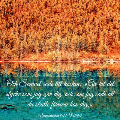 Picture 03 - 1 Samuelsboken 9:23 SV1917 - Och Samuel sade till kocken: »Giv hit det stycke - Bible Verse Picture