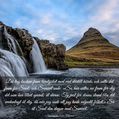 Picture 03 - 1 Samuelsboken 9:24 SV1917 - Då tog kocken fram lårstycket med vad därtill - Bible Verse Picture