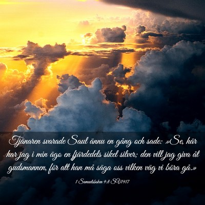 Picture 03 - 1 Samuelsboken 9:8 SV1917 - Tjänaren svarade Saul ännu en gång och sade: - Bible Verse Picture