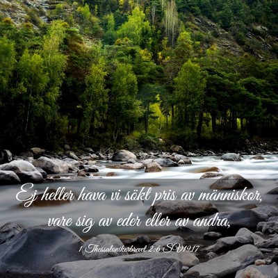 Picture 03 - 1 Thessalonikerbrevet 2:6 SV1917 - Ej heller hava vi sökt pris av människor, vare - Bible Verse Picture