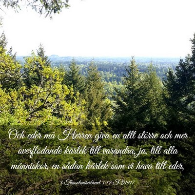 Picture 03 - 1 Thessalonikerbrevet 3:12 SV1917 - Och eder må Herren giva en allt större och mer - Bible Verse Picture