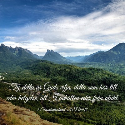 Picture 03 - 1 Thessalonikerbrevet 4:3 SV1917 - Ty detta är Guds vilja, detta som hör till eder - Bible Verse Picture