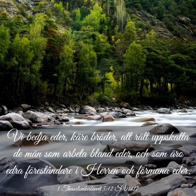 Picture 03 - 1 Thessalonikerbrevet 5:12 SV1917 - Vi bedja eder, käre bröder, att rätt uppskatta - Bible Verse Picture
