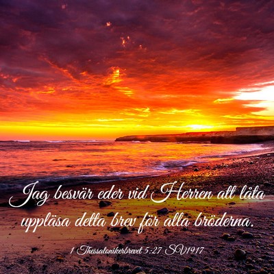 Picture 03 - 1 Thessalonikerbrevet 5:27 SV1917 - Jag besvär eder vid Herren att låta uppläsa - Bible Verse Picture