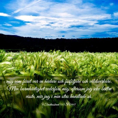 Picture 03 - 1 Timotheosbrevet 1:13 SV1917 - mig som förut var en hädare och förföljare - Bible Verse Picture