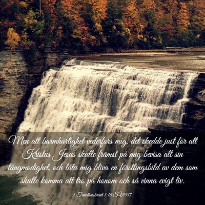 Picture 03 - 1 Timotheosbrevet 1:16 SV1917 - Men att barmhärtighet vederfors mig, det skedde - Bible Verse Picture