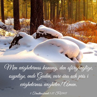 Picture 03 - 1 Timotheosbrevet 1:17 SV1917 - Men evigheternas konung, den oförgänglige, - Bible Verse Picture