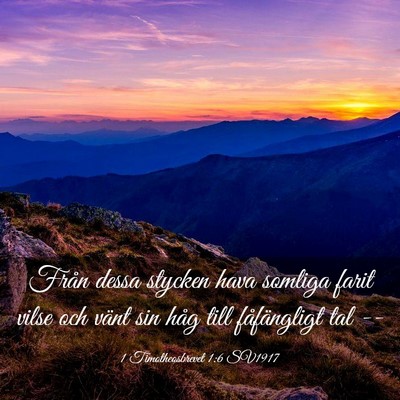 Picture 03 - 1 Timotheosbrevet 1:6 SV1917 - Från dessa stycken hava somliga farit vilse och - Bible Verse Picture
