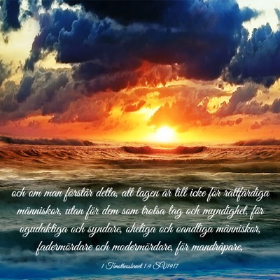 Picture 03 - 1 Timotheosbrevet 1:9 SV1917 - och om man förstår detta, att lagen är till - Bible Verse Picture