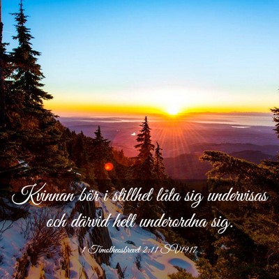 Picture 03 - 1 Timotheosbrevet 2:11 SV1917 - Kvinnan bör i stillhet låta sig undervisas och - Bible Verse Picture