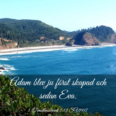 Picture 03 - 1 Timotheosbrevet 2:13 SV1917 - Adam blev ju först skapad och sedan - Bible Verse Picture
