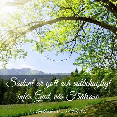 Picture 03 - 1 Timotheosbrevet 2:3 SV1917 - Sådant är gott och välbehagligt inför Gud, - Bible Verse Picture
