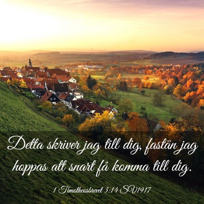 Picture 03 - 1 Timotheosbrevet 3:14 SV1917 - Detta skriver jag till dig, fastän jag hoppas - Bible Verse Picture