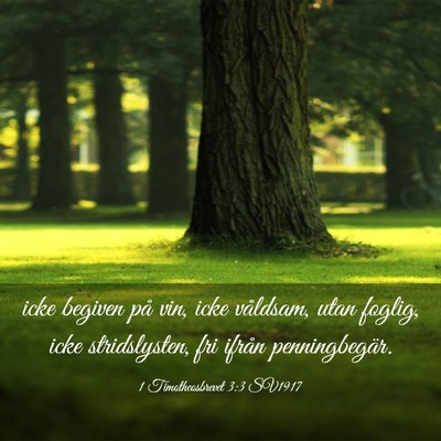 Picture 03 - 1 Timotheosbrevet 3:3 SV1917 - icke begiven på vin, icke våldsam, utan foglig, - Bible Verse Picture
